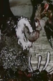 Czas sępa 1987 on netflix