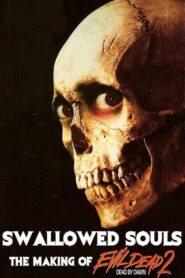 Swallowed Souls: The Making of Evil Dead 2 2011 on netflix