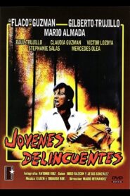 Jóvenes delincuentes 1991 on netflix
