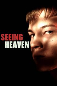 Seeing Heaven 2011 on netflix