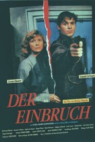The Break-In 1991 on netflix