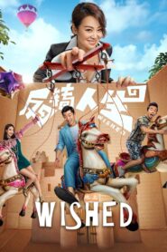 Wished 2017 on netflix