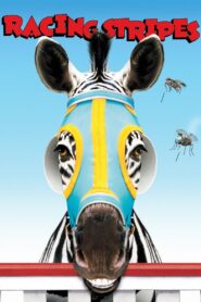 Racing Stripes 2005 on netflix
