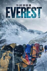 To Live or Die on Everest 2020 on netflix