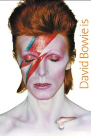 David Bowie Is Happening Now 2013 on netflix
