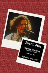 Pearl Jam: Downing Stadium, NY 1996 1996 on netflix