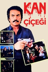 Kan Çiçeği 1987 on netflix