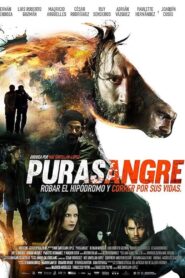 Thoroughbred 2016 on netflix