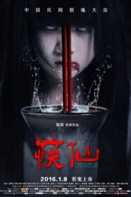 The Curse of Chopsticks 2016 on netflix