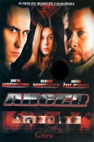 Anger 1998 on netflix