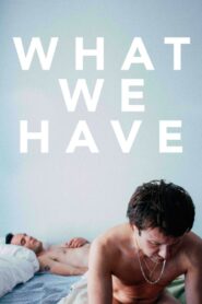 What We Have 2014 on netflix