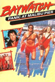 Baywatch: Panic at Malibu Pier 1989 on netflix