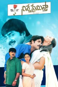 Ninne Premistha 2000 on netflix
