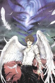 Angel Sanctuary 2001 on netflix
