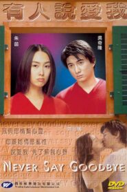 Never Say Goodbye 2001 on netflix