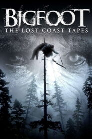 Bigfoot: The Lost Coast Tapes 2012 on netflix
