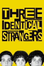 Three Identical Strangers 2018 on netflix