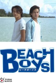 Beach Boys Special 1998 on netflix