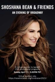 Shoshana Bean and Friends: An Evening of Broadway 2020 on netflix