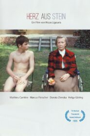 Herz aus Stein 1995 on netflix