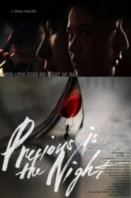 Precious Is the Night 2020 on netflix