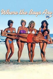 Where the Boys Are 1984 on netflix