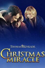 Christmas Miracle 2012 on netflix