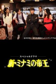 The King of Minami Returns 2010 on netflix