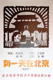 One Day in Beijing 1994 on netflix