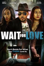 Wait for Love 2021 on netflix