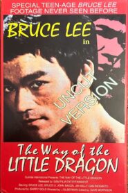 The Way of the Little Dragon 1997 on netflix