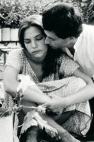 Fog Under the Sun 1980 on netflix