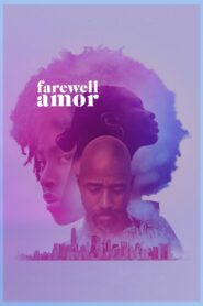 Farewell Amor 2020 on netflix