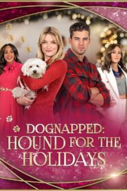 Dognapped: A Hound for the Holidays 2022 on netflix