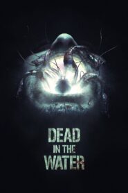 Dead in the Water 2018 on netflix