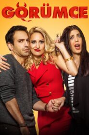 Sister In Law 2016 on netflix