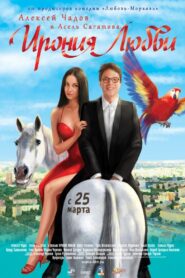 The Irony of Love 2010 on netflix