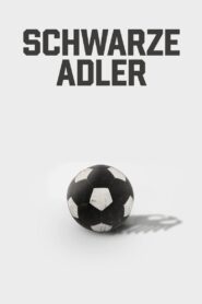 Black Eagles 2021 on netflix
