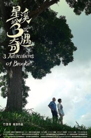 Three Adventures of Brooke 2019 on netflix