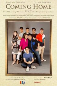 Coming Home 2020 on netflix