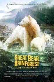 Great Bear Rainforest: Land of the Spirit Bear 2019 on netflix