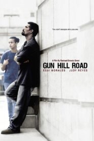 Gun Hill Road 2011 on netflix