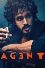 Agent 2023 on netflix