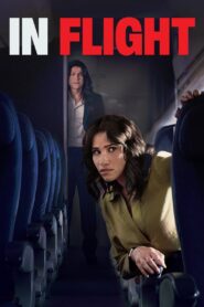 In Flight 2024 on netflix