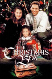 The Christmas Box 1995 on netflix