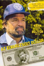The Enchanted Dollar 1986 on netflix