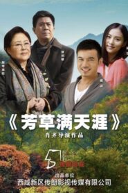 芳草满天涯 2023 on netflix