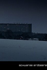 Schwarze Erdbeeren 2005 on netflix