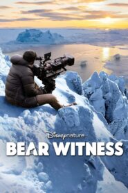 Bear Witness 2022 on netflix