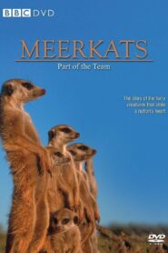 Meerkats: Part of the Team 2002 on netflix
